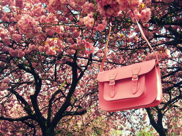 ��H����� һ�����nȥ�ɣ�