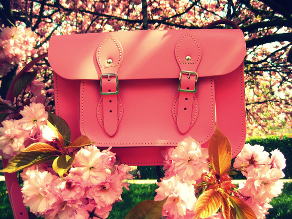 ��H����� һ�����nȥ�ɣ�