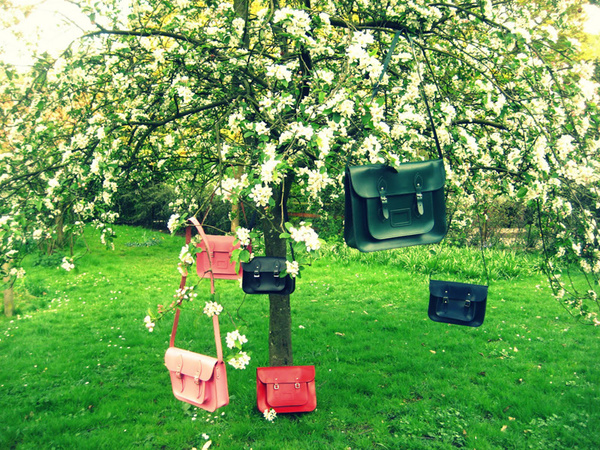 ��H����� һ�����nȥ�ɣ�