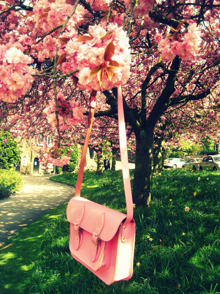 ��H����� һ�����nȥ�ɣ�