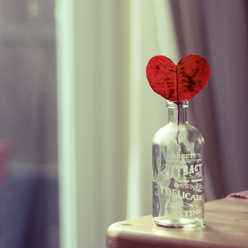 �������� �q���o��