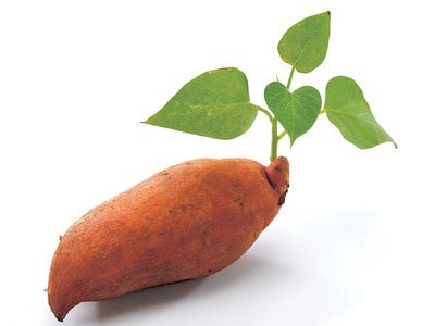 ����Ȼ��ˎ��Ĥ���׵����B�