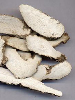 ����Ȼ��ˎ��Ĥ���׵����B�