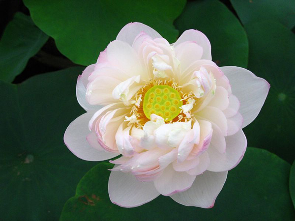 ���Ƿ�ǰ��һ����ɏ