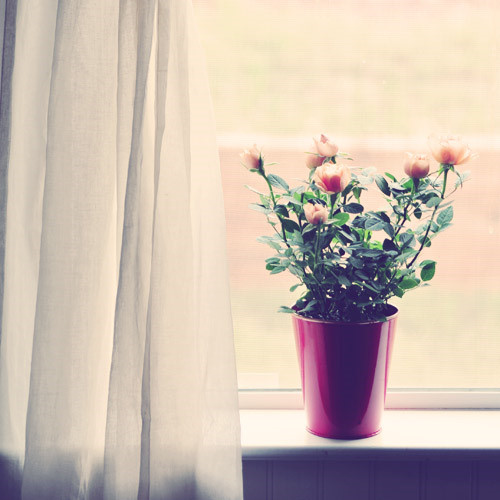 ���������ǵ�Ȼ