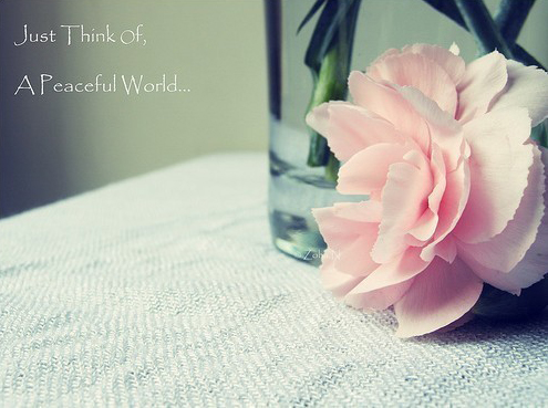 ������һ�N���x