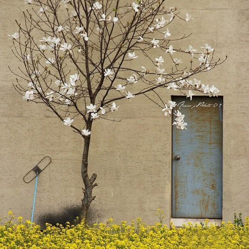 ϯĽ�ݽo12������Ψ����Ԋ