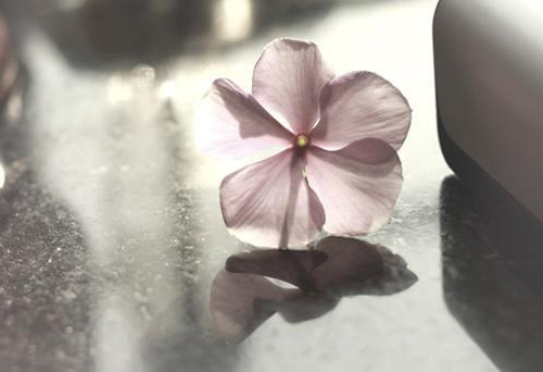 ϯĽ�ݽo12������Ψ����Ԋ