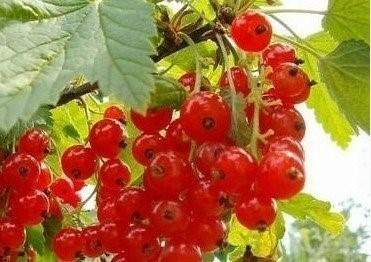 ��Щ��]�г��^������ˮ��