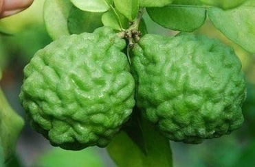 ��Щ��]�г��^������ˮ��