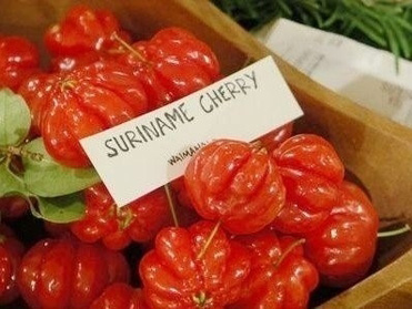 ��Щ��]�г��^������ˮ��