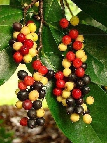 ��Щ��]�г��^������ˮ��