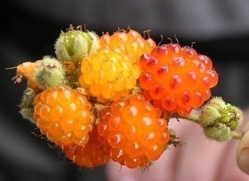 ��Щ��]�г��^������ˮ��