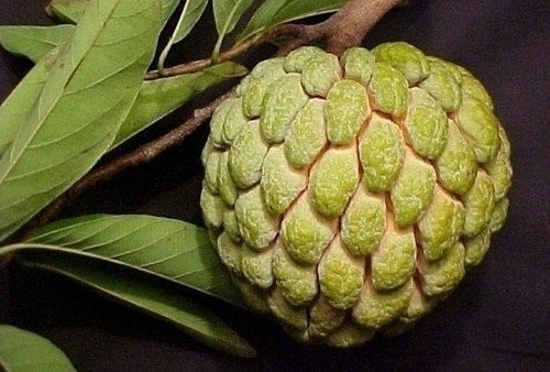 ��Щ��]�г��^������ˮ��