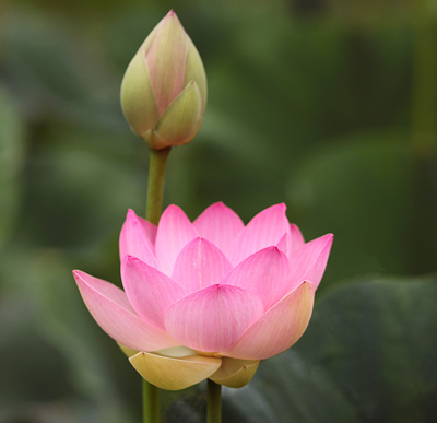  �����֮�t�Ɂ�ٛ�ͼ���