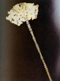 ��ɫ����h��DŮ���y�^�