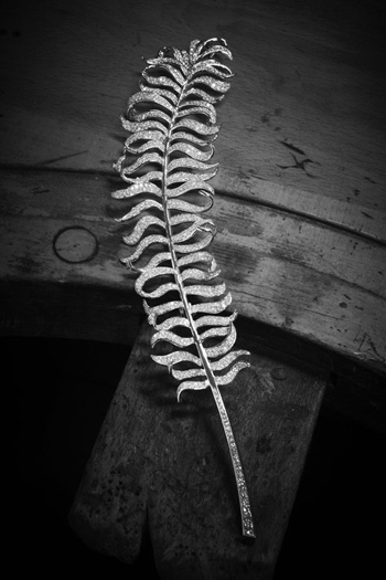 ���΃�PLUMES DE CHANEL피��錚ϵ��