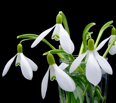 ��ɫ�����p�m��