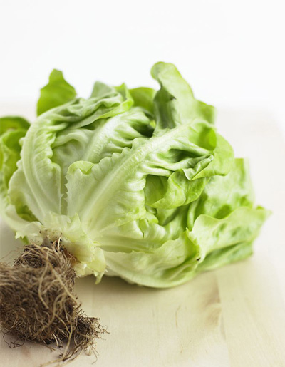 ����Y�� Officeһ���p�ɑ�����Xݗ��