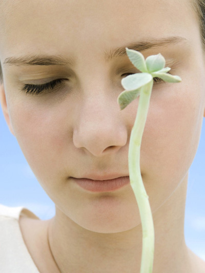 ����Y�� Officeһ���p�ɑ�����Xݗ��