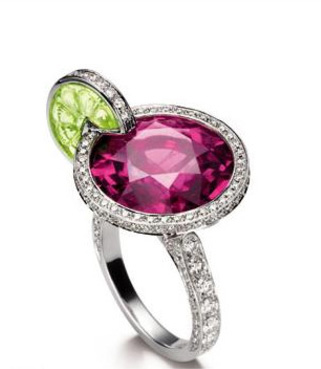 ���ɐ��ǹ���� �벻��һ�ڳԵ�����