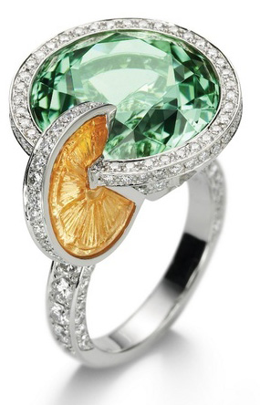 ���ɐ��ǹ���� �벻��һ�ڳԵ�����