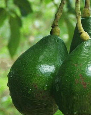 8�N������wˮ�� �Գ�ˮ����