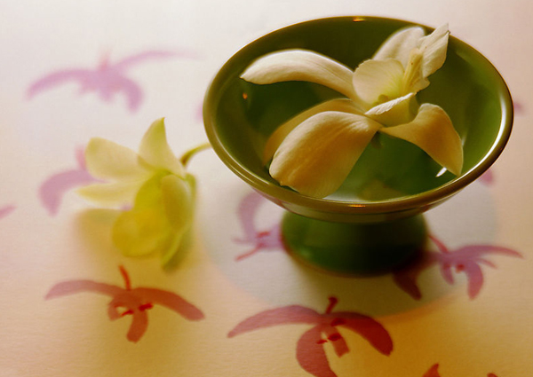 �����еı������Q