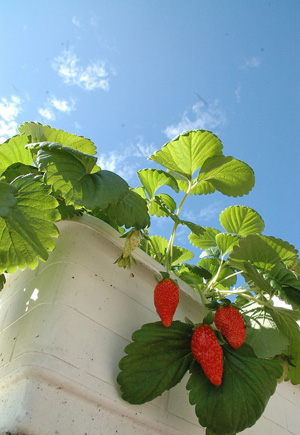 8�N������wˮ�� �Գ�ˮ����