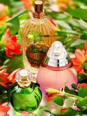 8������׌��׃�� �����˚�����