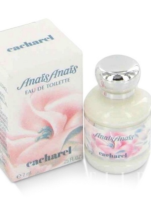 8������׌��׃�� �����˚�����