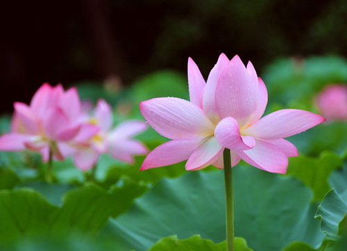 ����Ը����ɏ�ˣ��c�����M��ˮ