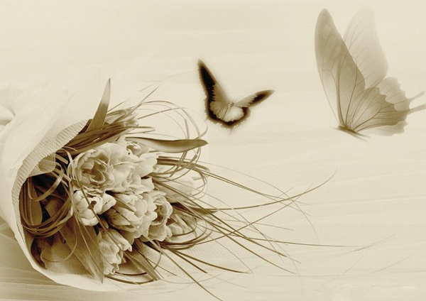 �� һ����Ҫ�����ĭ��֧�ֺ�����