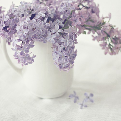 ���������ǲ��� ���o���m���Ԍ� 