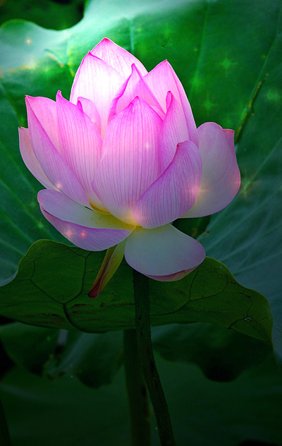 һ��һ�mɫ��һ�~һ���