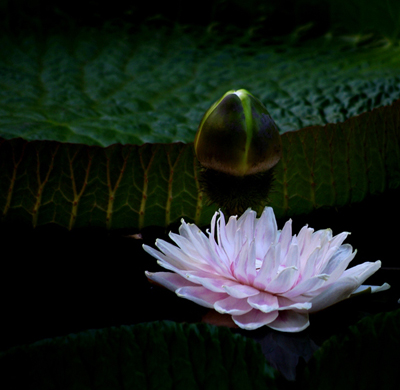 һ��һ�mɫ��һ�~һ���