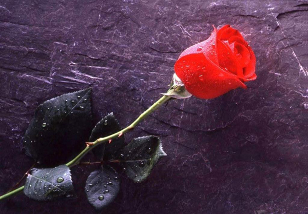 ��ۡ����^�Ӱ���������A���и�