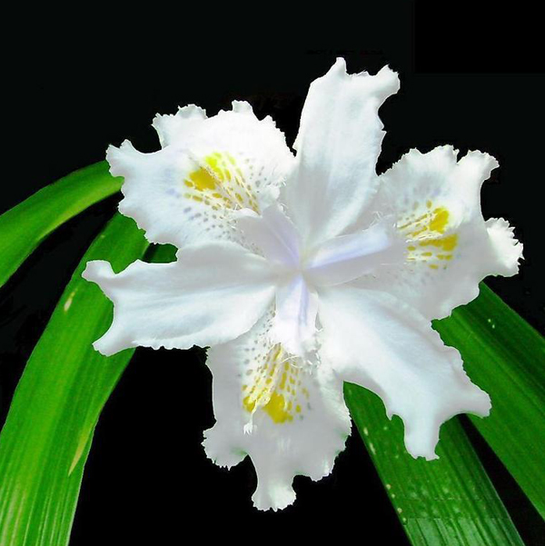 Ⱦһ���m�㣬��һ�w�m��