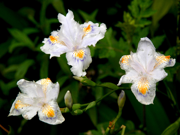 Ⱦһ���m�㣬��һ�w�m��