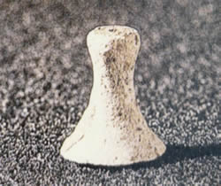 �h��DŮ�������y���