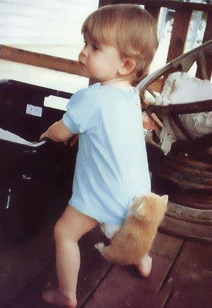 ���Ќ����10��������̎