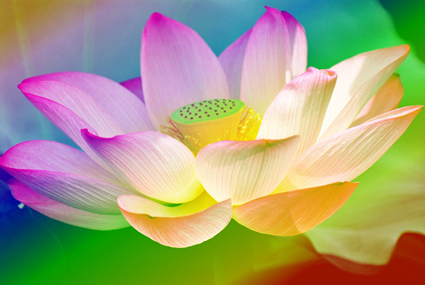 ����������ɏ�����_����ֻ����