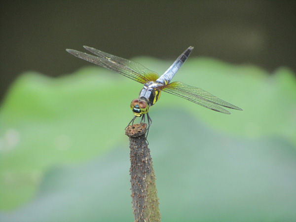 ������㣬��һ��ɢ����^��