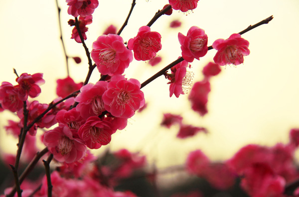 ÷�������˃A���Ě��|(zh��)