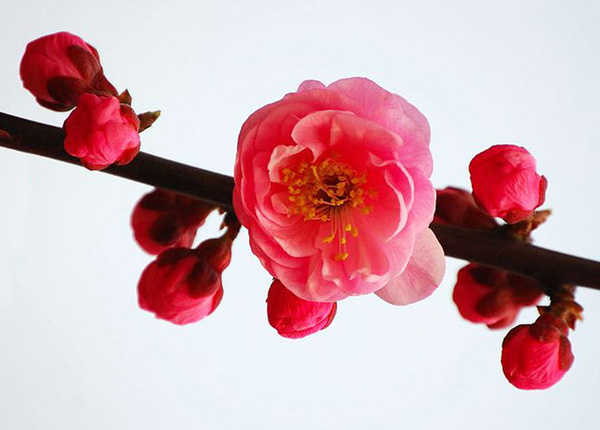 ÷�������˃A���Ě��|(zh��)