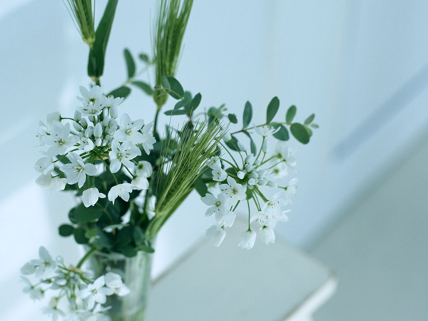 ���������ڴ�