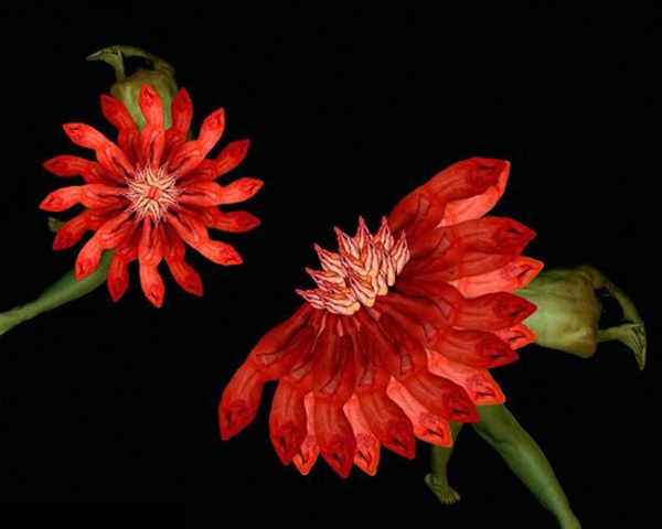 ����25�qŮ���ĳ�ʷ������w�zӰ