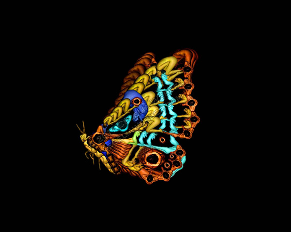 ����25�qŮ���ĳ�ʷ������w�zӰ