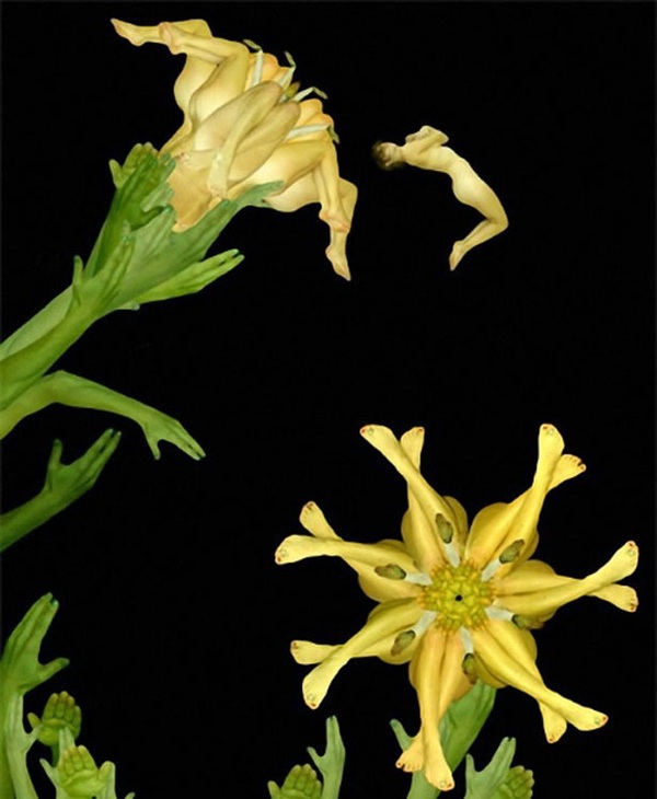 ����25�qŮ���ĳ�ʷ������w�zӰ