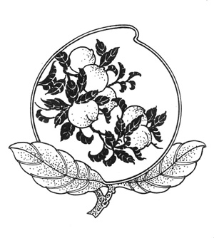 ����D�� ����Ԣ��